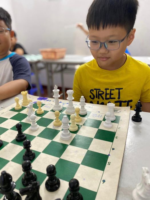 Armychess (Military Chess) Image 2