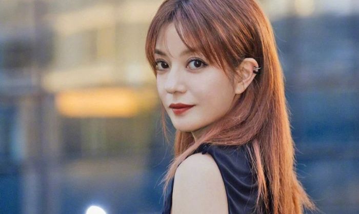 Những bộ phim và chương trình truyền hình có sự góp mặt của Triệu Vy