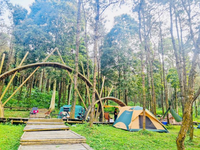 Thiên Sơn Suối Ngà Eco-Tourism Area image 1