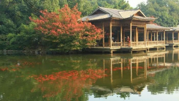 The picturesque Flower Harbor Viewing Fish