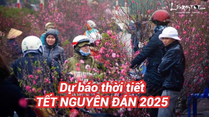 Dự báo thời tiết Tết Nguyên đán 2025