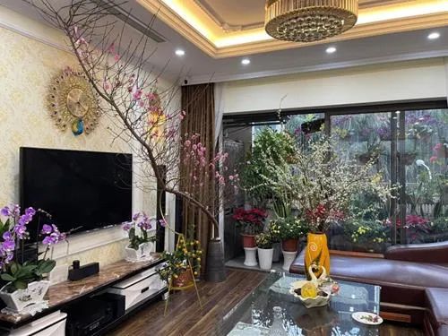 Placement of Decorative Plants During Tết According to Feng Shui