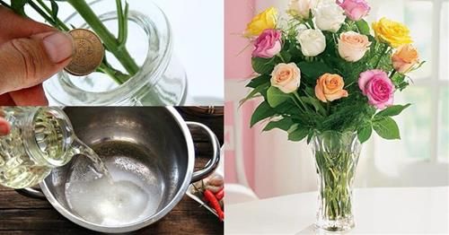 How to prepare water to extend the freshness of flowers