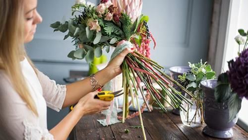 How to make flowers bloom at your desired time.