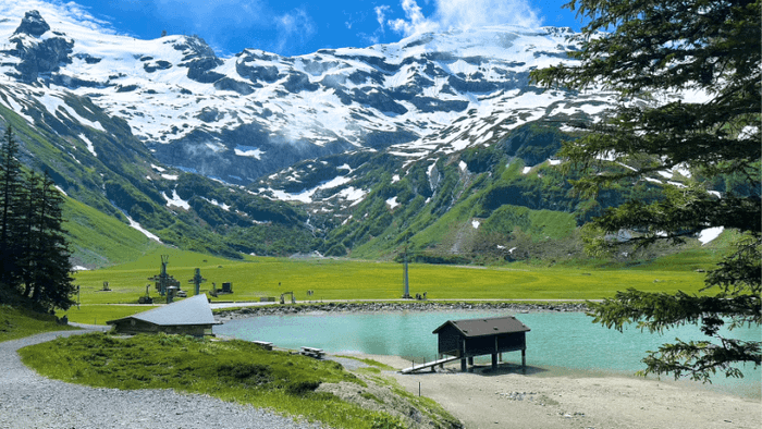 The Lush Summer at Titlis Mountain