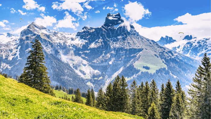 The Vibrant Spring at Titlis Mountain