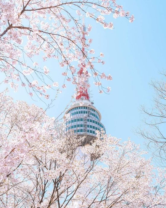 This is an image representing Nghệ An Tourism Joint Stock Company, showcasing its extensive range of travel services and offerings.