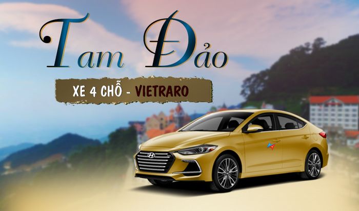 Vietrapro Tour Car Image 2