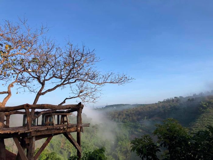 MeGarden Daknong image 1