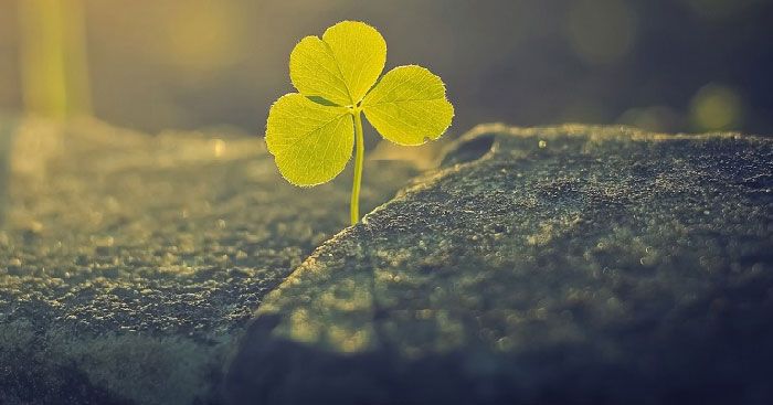Khám phá đặc điểm nổi bật của văn bản nghị luận xoay quanh vấn đề đời sống trong tác phẩm 'Đừng từ bỏ cố gắng'.