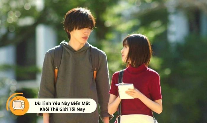 Các bộ phim và chương trình truyền hình có sự tham gia của Shunsuke Michieda xuất sắc nhất.