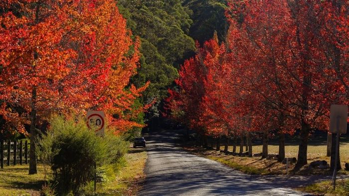 The stunning autumn scenery in Australia