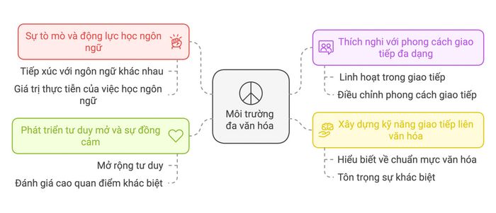 Ảnh hưởng của môi trường đa văn hóa đối với người học