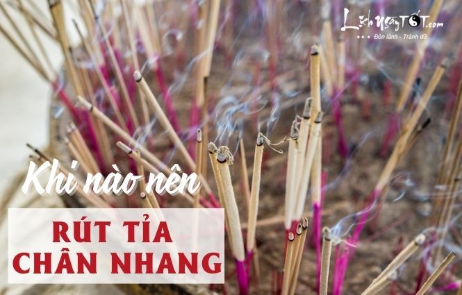 Thời điểm nào nên tỉa chân nhang?
