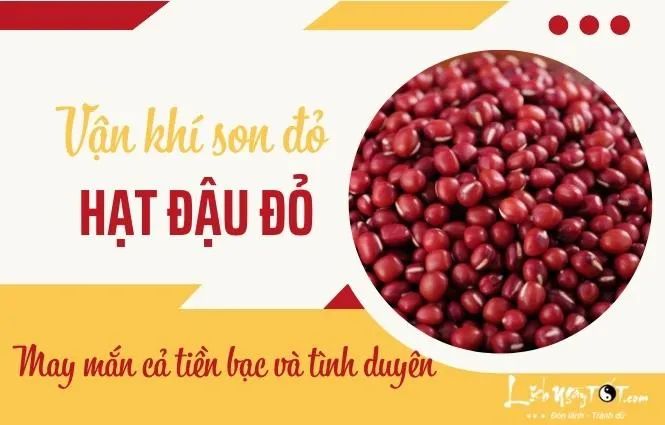 Đặt hạt đậu đỏ vào túi đêm Giao thừa