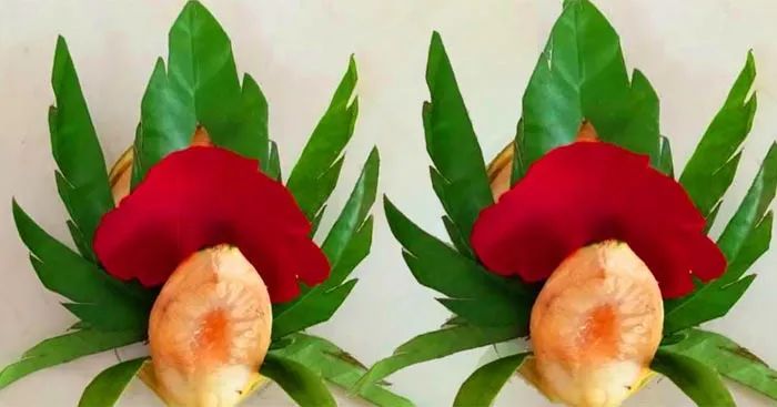 Bệnh viện thẩm mỹ Kangnam image 2