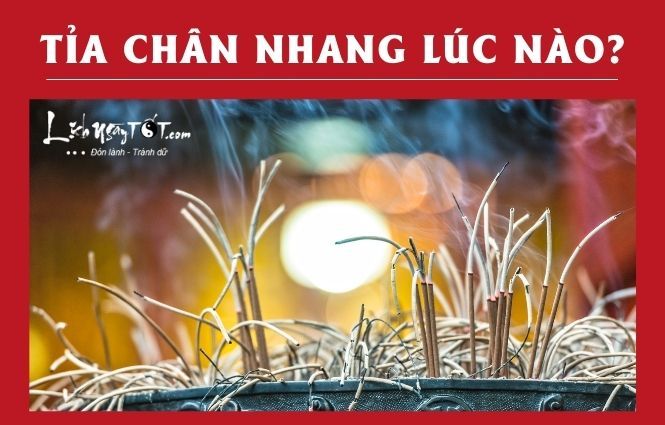 Thời điểm nào phù hợp để tỉa chân nhang?
