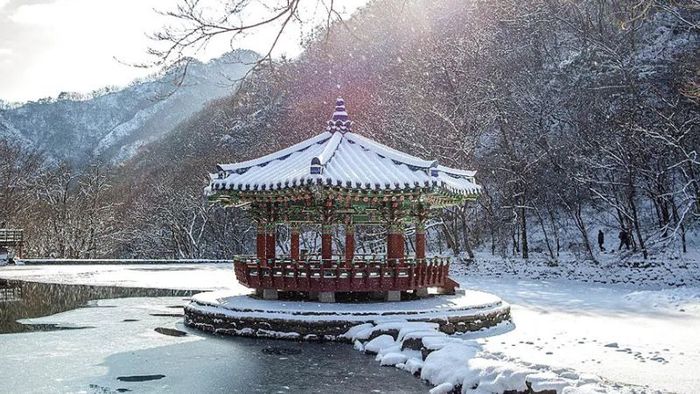 Winter travel in Korea with snow-covered landscapes