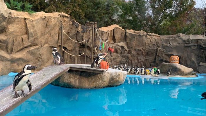 Everland Park in Korea with its exciting themed entertainment zones