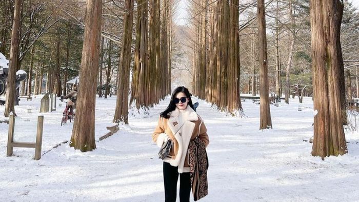 Winter travel in Korea at Nami Island