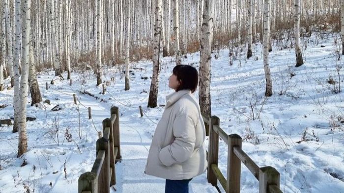 The romantic Wondaeri Birch Forest, Korea