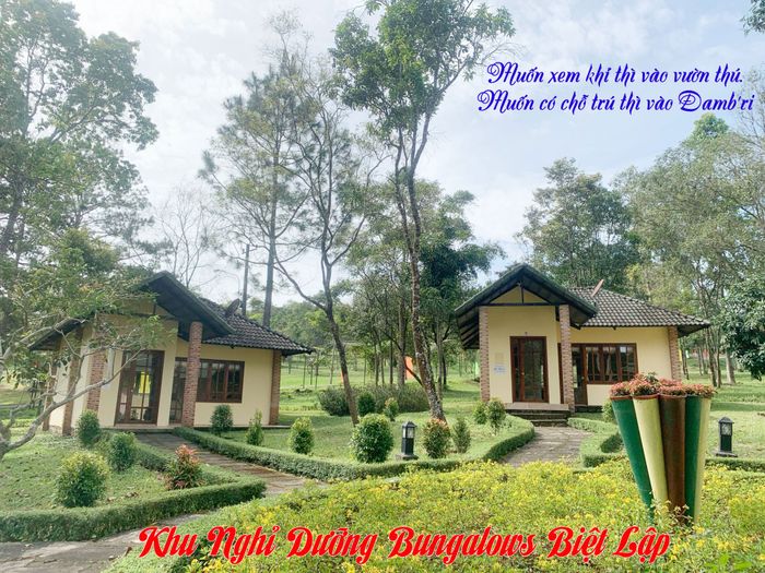 Dambri Waterfall Tourist Area image 1