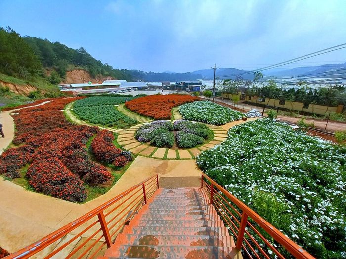 Puppy Farm - Puppy Farm image 2