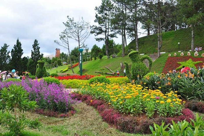 Da Lat City Flower Garden image 2