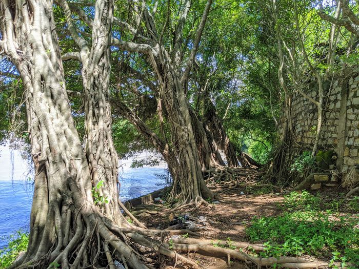 Ecotourism site Han Tam Dang photo 2