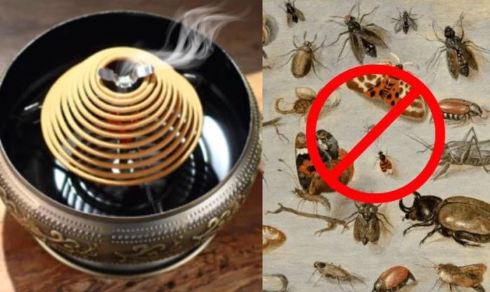 Đuổi côn trùng và làm sạch không khí