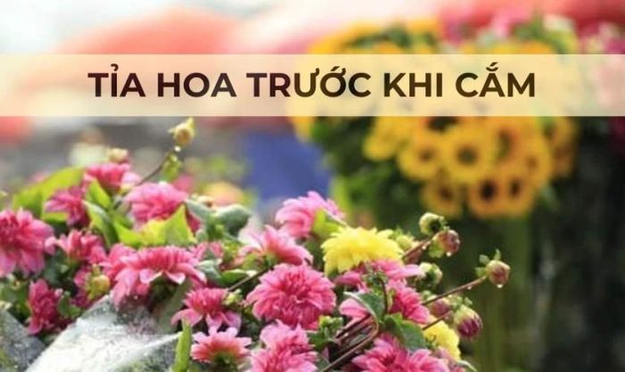 Cắt tỉa hoa trước khi cắm
