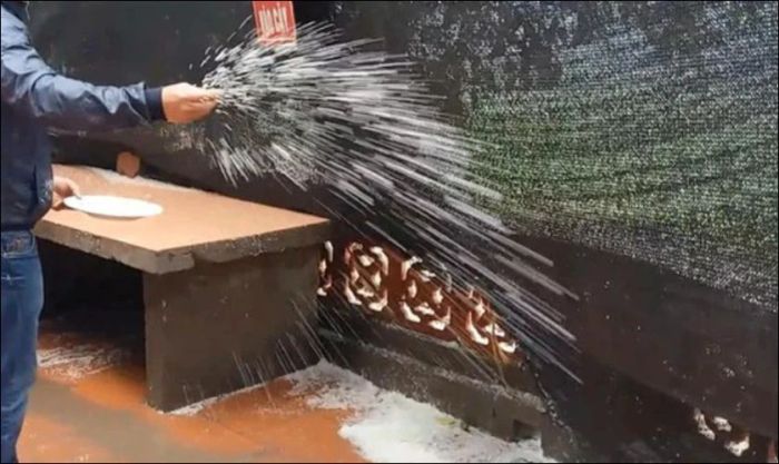 Cách rắc muối gạo chuẩn mà ai cũng cần biết