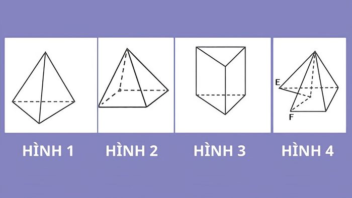Bài tập minh họa 2 về khối đa diện