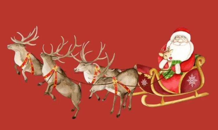 Ảnh tuần lộc Noel tuyệt đẹp