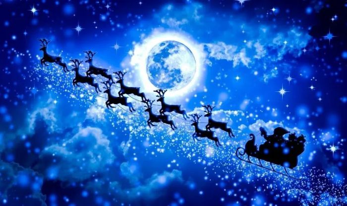 Những bức ảnh tuần lộc Noel đẹp nhất