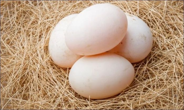 Trứng vịt cũng là vật phẩm được nhiều người mua trong ngày vía Thần Tài