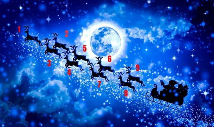 Ông già Noel cưỡi bao nhiêu con tuần lộc?