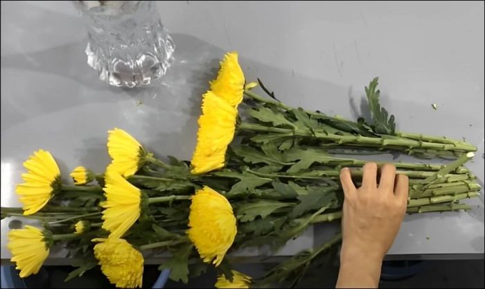 Cắt tỉa hoa sơ bộ trước khi tiến hành cắm
