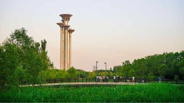 The scenic space of the Olympic Forest Park