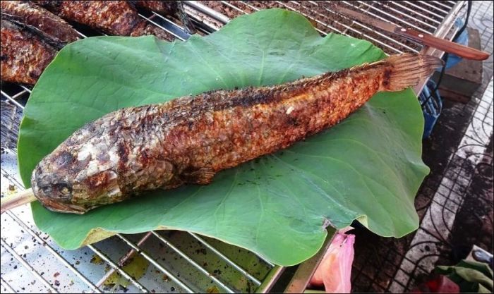 Mua cá lóc nướng để cúng Thần Tài