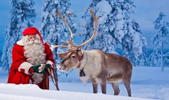Cảnh tuần lộc cùng ông già Noel trong không khí Giáng sinh