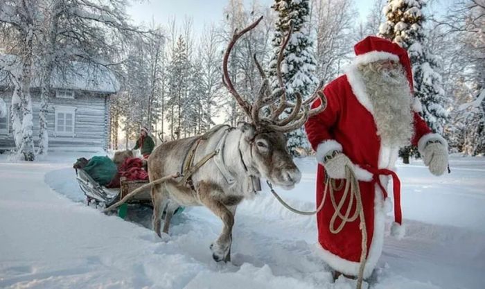Chú tuần lộc Giáng sinh thực sự đồng hành cùng ông già Noel