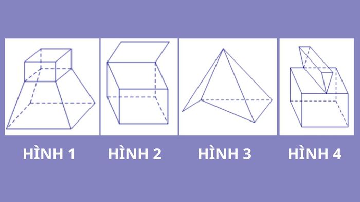 Bài tập minh họa 1 về khối đa diện