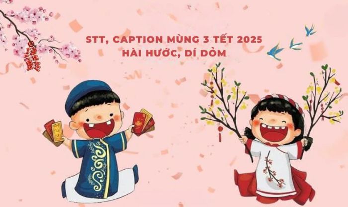 STT mùng 3 Tết 2025 hài hước, dí dỏm