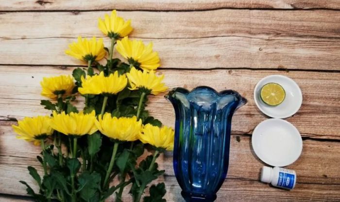Mẹo cắm hoa cúc chưng Tết lâu tàn nên biết