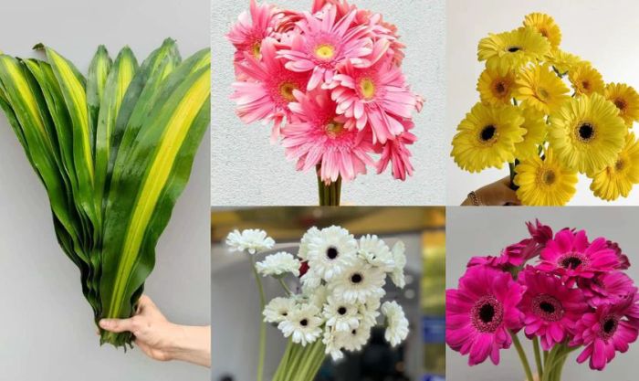 Danh sách nguyên liệu cần thiết để cắm hoa hình tam giác