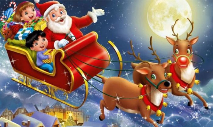 Liệu tuần lộc chở quà Noel là con đực hay con cái?