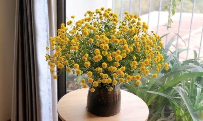 Cách cắm hoa cúc ngày Tết theo kiểu tỏa ngang đẹp mắt