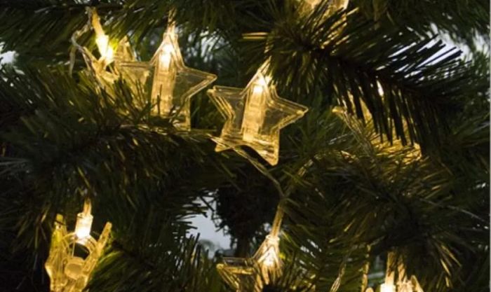 Hình ảnh ngôi sao Noel ngoài đời thật vô cùng đẹp mắt