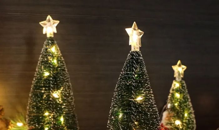 Hình ảnh ngôi sao Noel trong thế giới thực